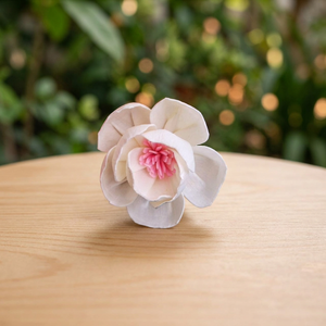 Wholesale 5 cm Sola Wood Artificial Dried <b>Reed</b> <b>Diffuser</b> White Environmental Friendly Elegant Wedding Decorative Flowers Plants - Product Image 2