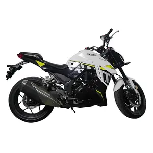 250CC EFI Kraftstoffe in spritz ung Sport Bike Motorrad 6-Gang Street Bike Motorrad mit ABS