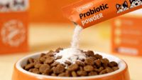 Complément alimentaire probiotique actif pour la santé digestive des chats et des chiens, soulagement des selles molles et de la diarrhée, 5 g