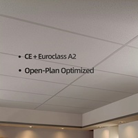 Plaques de plafond suspendu en fibres minérales anti-humidité, insonorisées et acoustiques, pour la décoration intérieure, adaptées aux salles de bain et aux sous-sols.