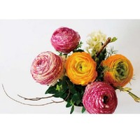 Peinture en spray florale écologique à base d'eau pour la décoration des fleurs