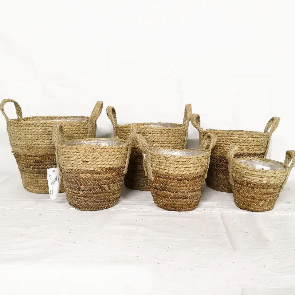 Vendita calda Amazon vasi da vivaio piccoli Mini argilla Terracotta Cactus vasi da fiori succulenti vasi da fiori e fioriere