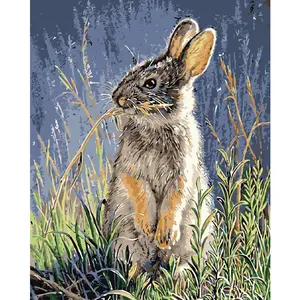 Wholesale Rabbit in the grass Painting by Numbers for Kids Acrylic Paint Coloring Picture by Numbers
