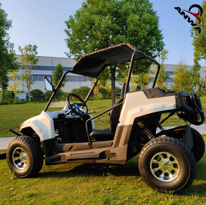 <span class=keywords><strong>Buggy</strong></span> électrique UTV dune <span class=keywords><strong>2022</strong></span> W 2000W, <span class=keywords><strong>prix</strong></span> usine 3000 - Product Image 5