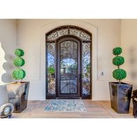 Puerta de hierro forjado de diseño arqueado de lujo con diseños de puerta única exterior de vidrio templado para casas