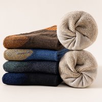 Chaussettes classiques personnalisées en gros, chaudes, confortables, respirantes, épaisses en tissu éponge, chaussettes thermiques pour hommes, chaussettes mi-mollet pour l'hiver quotidien