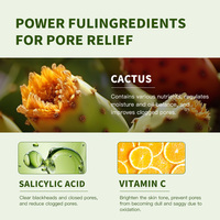 Sérum Visage à la Vitamine C Apaisant et Hydratant, Réparateur de Barrière Cutanée, à l'Extrait Végétal de Cactus, Essence Affinante des Pores – Fournisseur OEM