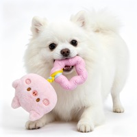 Jouet en peluche rose en forme de cochon pour animaux de compagnie, avec bande à mordre en TPR et couineur à nœud de corde, pour la mastication et le jeu quotidien des chats et des chiens, vente en gros