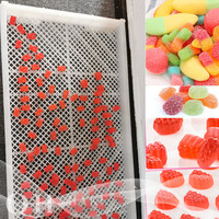 Plateau de séchage des bonbons en plastique abs, 10 pièces, à prix bas, pour bonbons au chocolat, gomme molle