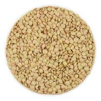 Vente en gros de petites lentilles vertes séchées, vente en gros,