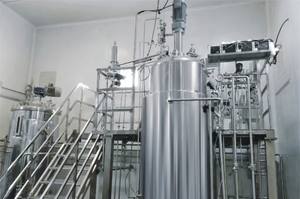 Bioréacteur à agitation mécanique à deux étages GMP 200-2000L de haute qualité standard UE BLBIO 200-2000SJA pour laboratoire - Product Image 3