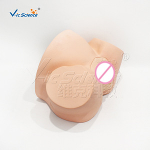 Modèle avancé de formation en sage-femme ; modèle de formation aux compétences médicales - Product Image 4