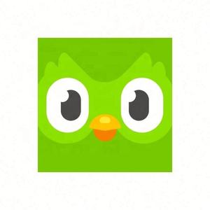 Cuenta Premium de Duolingo Pro, 1 Año, Aplicable Globalmente, Activa Tu Propia Cuenta - Product Image 4