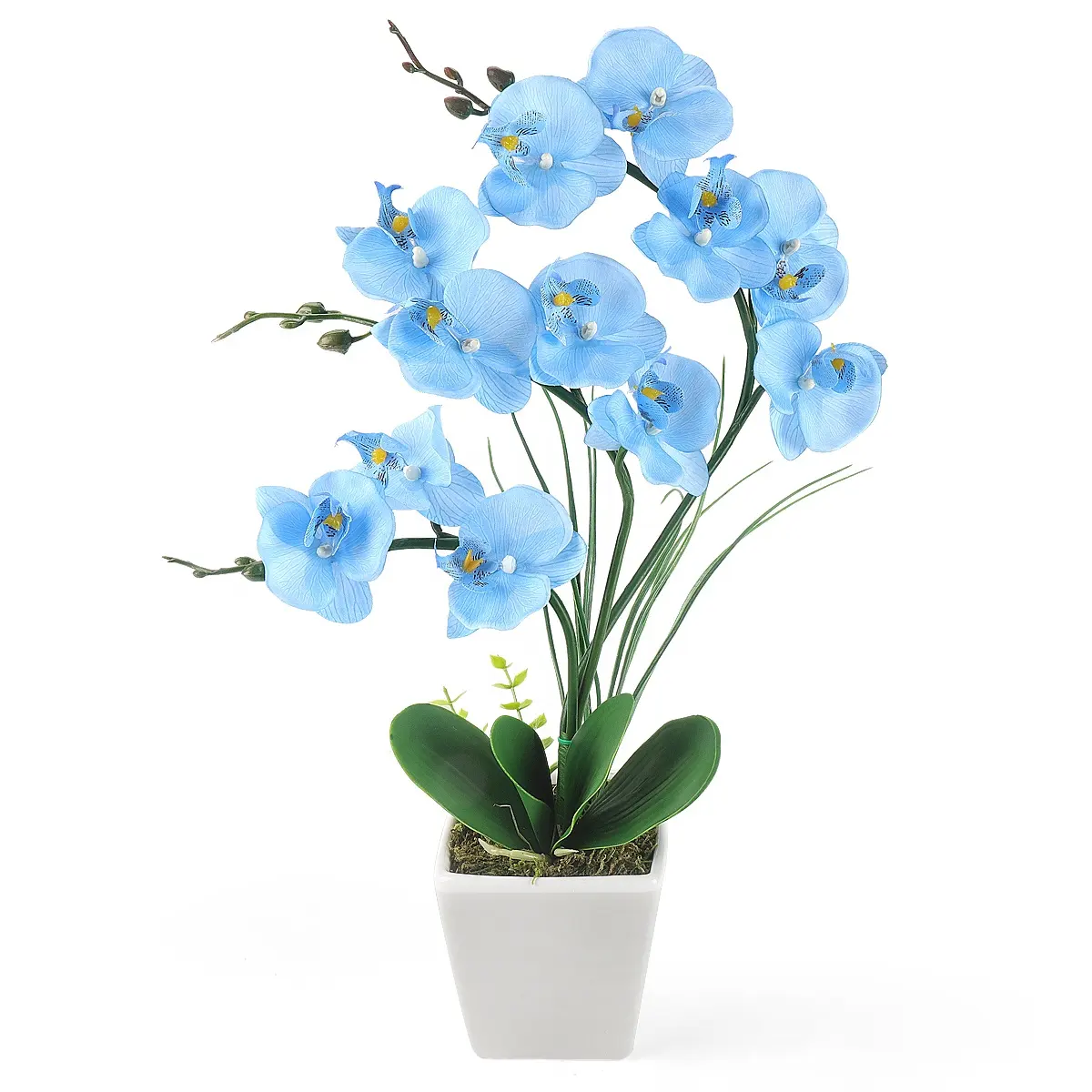 Orchidée artificielle avec Vase blanc pour décoration, 1 pièce, vente directe depuis l'usine, toucher réaliste, orchidée pour la maison et le bureau