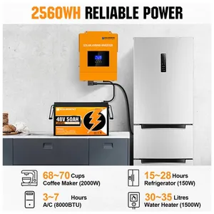 Umwelt freundliche 48V 50Ah Lithium LiFePO4 Deep Cycle Batterie mit längerer Lebensdauer Großhandel für Kommunikation stech nik und E-Bike