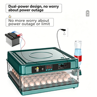 Incubateur automatique compact pour 6 à 36 œufs de poulet, caille et pigeon, avec conception économe en énergie