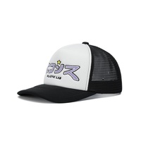 Gorra trucker premium de 5 paneles, cómoda, bordada, con malla, estilo deportivo urbano, compatible con OEM y ODM