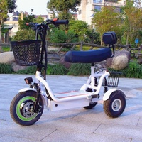 Usine nouveau Tricycle électrique élégant corps ouvert tension CEE approuvé passagers 3 roues Scooter électrique
