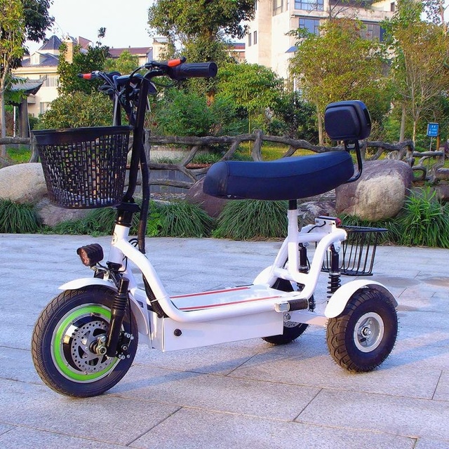 Factory New Stylish Electric Tricycle Open Body Voltage EEC Approved Passengers 3 Wheel Electric Scooter