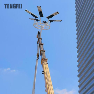 Tengfei nhà máy giá chất lượng cao tùy chỉnh LED năng lượng mặt trời cao cột cực đèn - Product Image 4