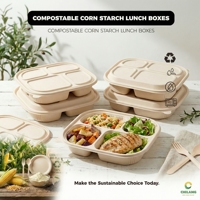 Boîte à lunch jetable ChiLang en amidon de maïs, 4 compartiments, compatible micro-ondes, couvercle anti-fuite, capacité 1000 ml, biodégradable