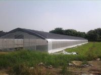 Couvercle en plastique 6m x 10m Mini serre intérieure