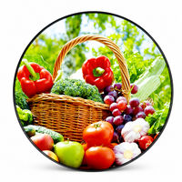 Module d'affichage LCD TFT rond de 4,0 pouces 720x720