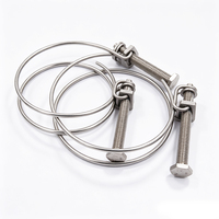 Collier de serrage double fil en acier inoxydable avec boulon hexagonal M8 et écrou pour applications de fixation de flexibles hydrauliques en caoutchouc et silicone ODM OEM
