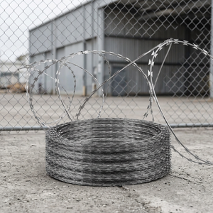 Fil de fer barbelé galvanisé Bluekin CBT-65 de haute qualité avec barbelés croisés de type rasoir, origine Hebei - Product Image 3