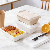 Boîte à lunch jetable biodégradable carrée de 750 ml en pulpe de bagasse, vaisselle pour les fêtes D888