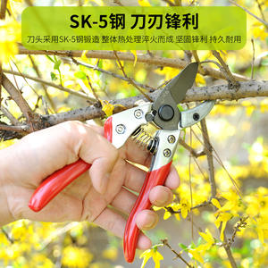 Sécatrices de jardin taïwanaises 200 mm, lame en acier SK5, poignée rouge en alliage de zinc - Product Image 3