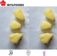 Premium Iqf Bevroren Ananas-Snufje In Bulk Met Water Geconserveerd Fruit Voor Importeurs En Groothandels