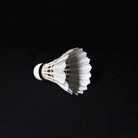 Großhandel Günstiger Linton LT-02 Klasse A Professioneller Fitness-Badminton-Federball mit Entenfedern, Guter Flug, 2-Schicht-Kork