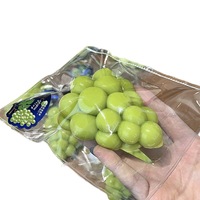 Jouet Squishy en Silicone de Qualité Alimentaire en Forme de Raisin Vert, Fruit Réaliste Anti-Stress pour l'Anxiété et la Relaxation, Unisexe, à partir de 14 ans