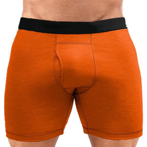 CELINNE Men <b>Boxer</b> Briefs Soft Breathable Temperature Control Mens Underwear Premium 100 <b>Merino</b> Wool Thermal Underwear For Men - Product Image 1