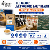 Poudre de levure active à haute activité, additif probiotique naturel pour le soin intestinal du bétail, des animaux aquatiques et des animaux de compagnie