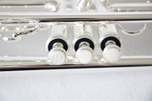 Trompeta Profesional en Si Bemol (Bb) de Grado Superior, Instrumento Musical de Calidad Excepcional en Venta - Product Image 4