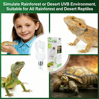 Ampoule chauffante UVB MagicDots XH-LX002 5.0/10.0 pour tortues et lézards - Verre écologique, tension universelle AC 110V/220V