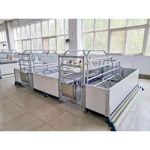 Cages de maternité complètes pour porcs avec système de contention réglable pour truies, pour l'élevage et la reproduction porcine à grande échelle - Product Image 6