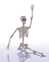 Esqueleto de Halloween de 165 cm (5 pies) Personalizable, Huesos Humanos de Plástico con Articulaciones Móviles para Casas Encantadas, Fiestas y Decoración de Jardines