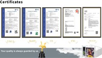Vitrine moderne portable en acrylique à 4 emplacements pour cartes gradées et boosters Pokémon anglais – Taille/Épaisseur personnalisables