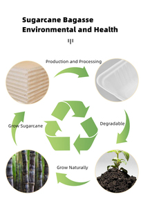 Food Packaging Biodegradable Disposable Bagasse Sugar Cane Takeaway Clamshell Food Container Sugarcane Bento Lunch Box Packaging
