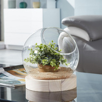 Terrarium en verre transparent décoratif avec base en bois