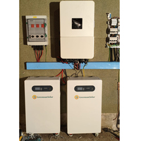 Batterie mobile au lithium de 16 kWh à performance supérieure pour système d'énergie solaire, compatible avec les onduleurs Deye SRNE Solis Growatt