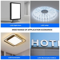 Transformateur d'alimentation LED non isolé 8-50W, transformateur de lampe LED, entrée AC220V, adaptateur d'alimentation 220mA, pour puce d'ampoule LED, garantie 2 ans