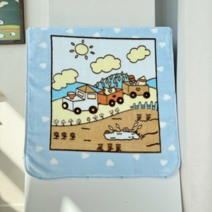 Vente en gros 2024 Produit de literie pour bébé Couverture pour bébé en vison super doux Eskimo Rashcel pour nouveau-nés - Product Image 4