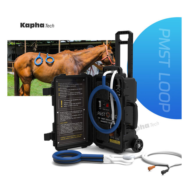 Portable PMST LOOP Magnawave for Horse Pemf Mat X-wing Large Loop and Butterfly Loop Pemf Therapy for Horse Treatment