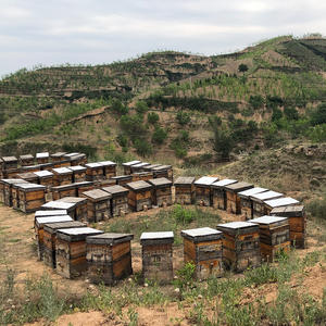 <span class=keywords><strong>Miel</strong></span> de Sidr Yéménite <span class=keywords><strong>Pur</strong></span> et Naturel de Qualité Supérieure pour la Santé Humaine, <span class=keywords><strong>Miel</strong></span> d'Abeille Brut Biologique en Gros en Bouteille et en Fût - Product Image 6