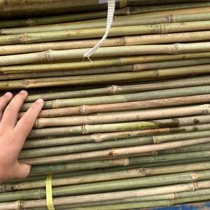 Poteaux en bambou naturel du Vietnam grand tube de poteau en bambou traité pour la décoration intérieure et les projets de jardin du fournisseur - Product Image 4