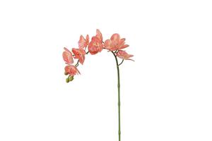 Usine directe réel look réaliste de haute qualité fleurs d'orchidées artificielles tige 7 têtes de mariage décoration - Product Image 3